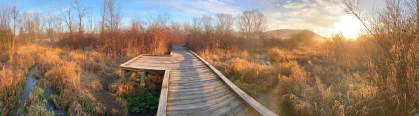 Millbrook Marsh Boardwalk December 2023