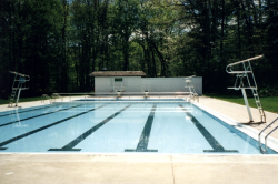Park Forest Pool