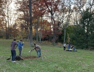 Tree Planting at Holmes Foster
