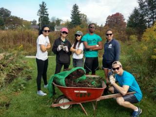Volunteers working at Millbrook Marsh