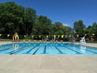 Welch Pool