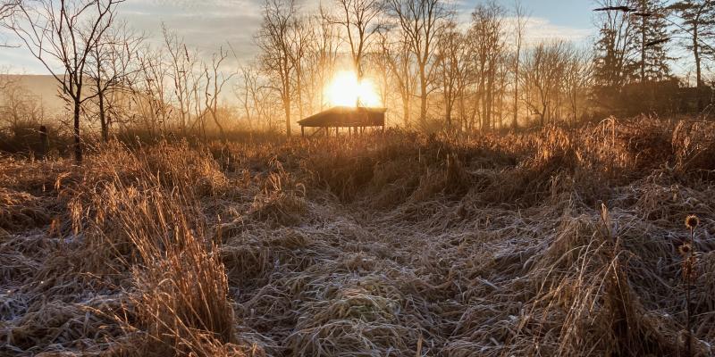 Winter sun shelter sunrise