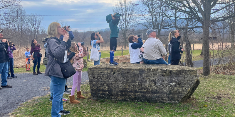 Birds and Bagels Spring 2025 Birds and Bagels Spring 2025